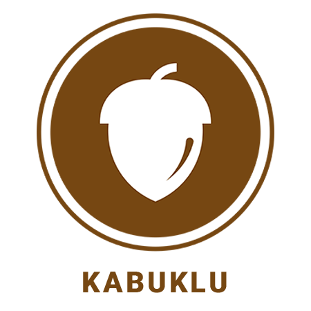 Kuruyemiş